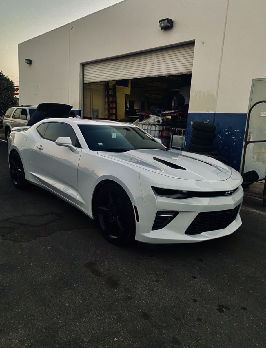 Displect's tweet image. grind don’t stop 😈 #camaross