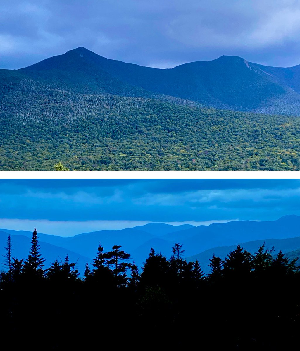 whereiscarrie_'s tweet image. Today was a good day.