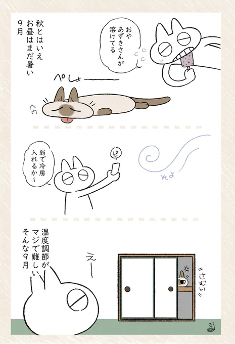 温度調節難しい #シャム猫あずきさんは世界の中心 