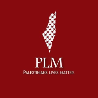 PalestinianLiv3 tweet picture