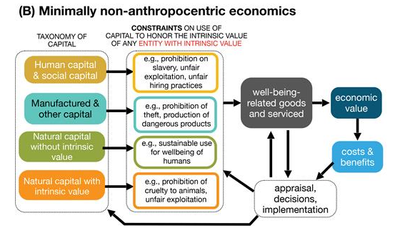 Dr Lily van Eeden tweet media