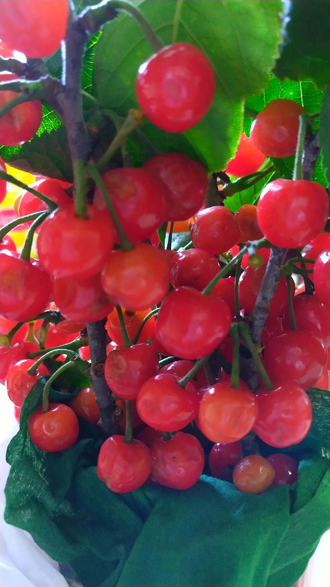 ダッフィーフレンズ Inelctksz2g9jm6 Twitter