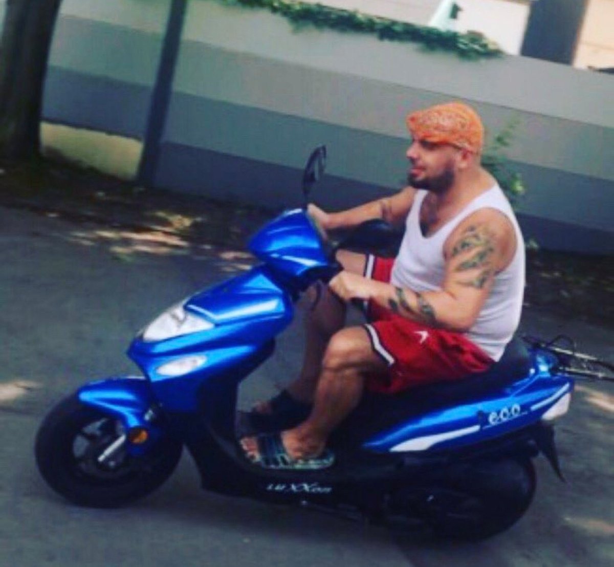 DrDachs's tweet image. choose your fighter