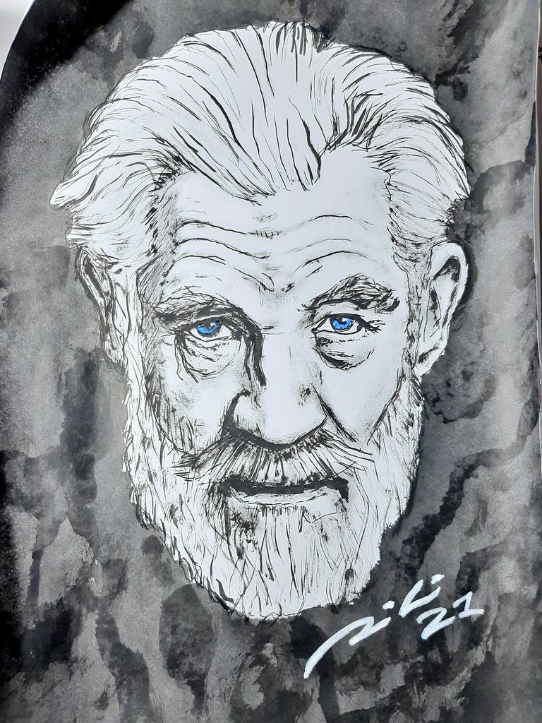 rikitopota's tweet photo. Sir Ian McKellen #sketch #dibuix #dibujo #tinta #ink #portrait #retrat #retrato #brush #pinzell #ianmkellen #gandalf #magneto #lordoftherings #xmen https://t.co/aYAnkjvTOw
