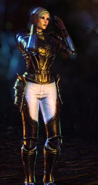 Triinuts's tweet photo. Made some more heavy armor outfit for a change #ESO #ElderScrollsOnline https://t.co/eM2qtK3OwD