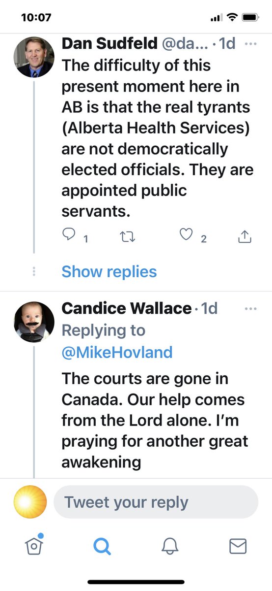 However, Christian Nationalists, paleolibertarians and white supremacists have partnered to use Covid public health restrictions to further their agenda and consolidate power and support.Not just in Alberta. Not just in Canada. But across North America and many other locations.