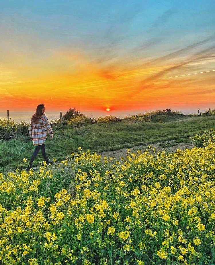 RamblersGB tweet media