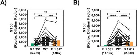 *B.1.617 and Immune Escape updates*B.1.617 was found to be resistant against Bamlanivimab, an antibody used for COVID-19 treatment. B.1.617 also evaded antibodies induced by infection or vaccination with BNT162b2 although with moderate efficiency.  https://www.biorxiv.org/content/10.1101/2021.05.04.442663v1.full