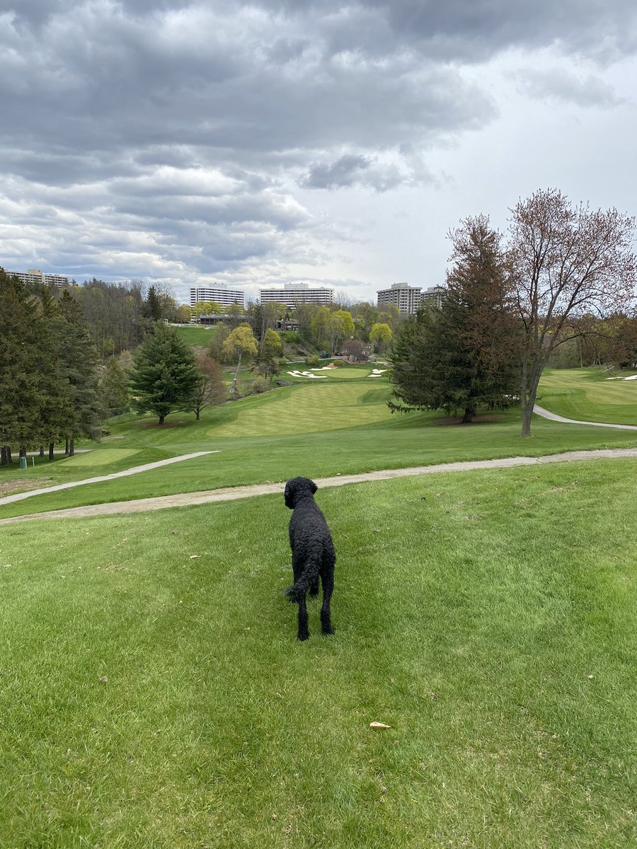 Ontario - home to the largest collection of beautiful off leash dog parks on the planet. <a href="/ThornhillClub/">The Thornhill Club</a>
