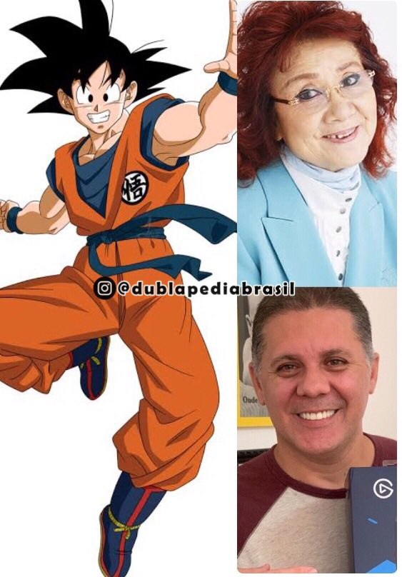 Dragon Ball Z, Dublapédia