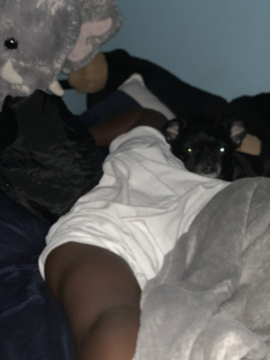 ScoeGotBandz's tweet photo. Happy Mother’s Day! I love you 👩🏾🐶 @diamondrenee__ https://t.co/Wxl0OaroYY