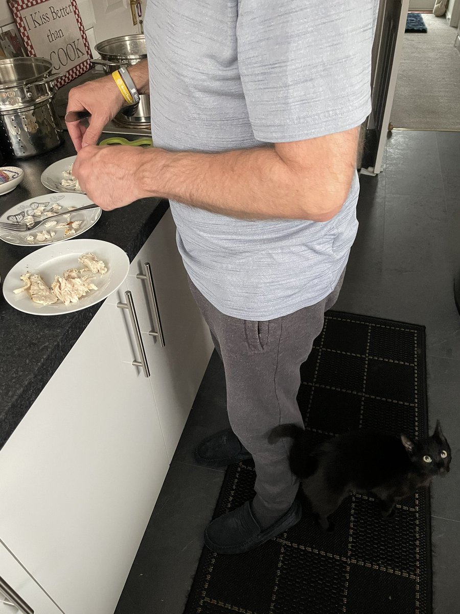 BoycieCassandra's tweet photo. Would you believe it - our hoomans had roast chicken for their dinner!!  We sat really quietly on the mat in the kitchen and because we were good enough .... we got some too!! We love our hoomans 💕 (Dont know if you can see us on the mat because we are black!!) https://t.co/B7VSMQTnqF