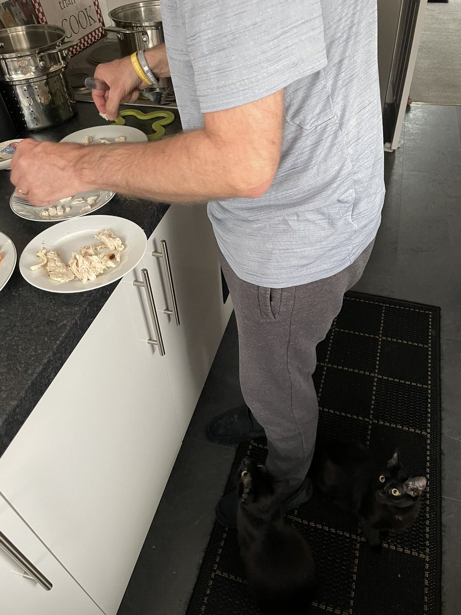 BoycieCassandra's tweet photo. Would you believe it - our hoomans had roast chicken for their dinner!!  We sat really quietly on the mat in the kitchen and because we were good enough .... we got some too!! We love our hoomans 💕 (Dont know if you can see us on the mat because we are black!!) https://t.co/B7VSMQTnqF
