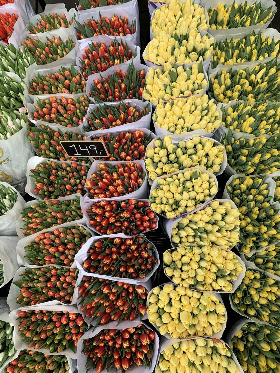 Wannawave (@wannawave) on Twitter photo 