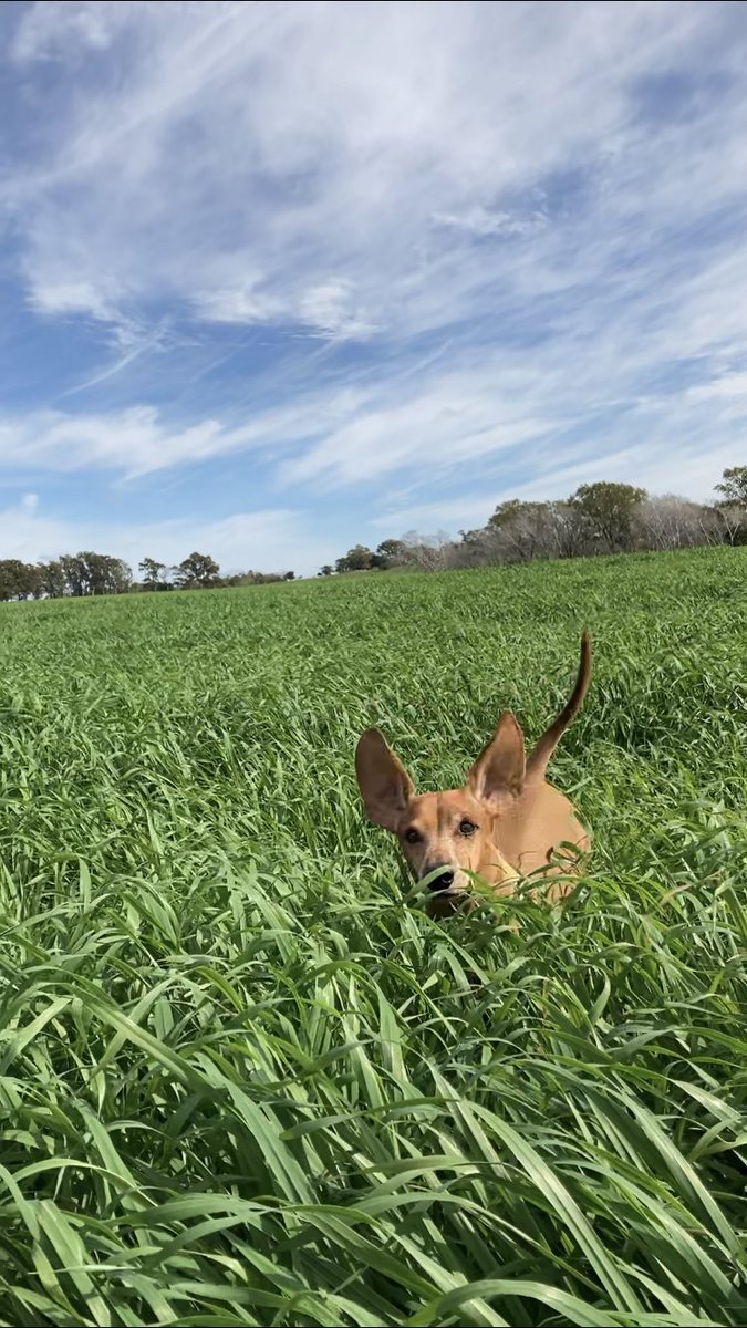 Maria Jose Urioste tweet media