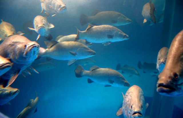 ums - Twitter Search / Twitter