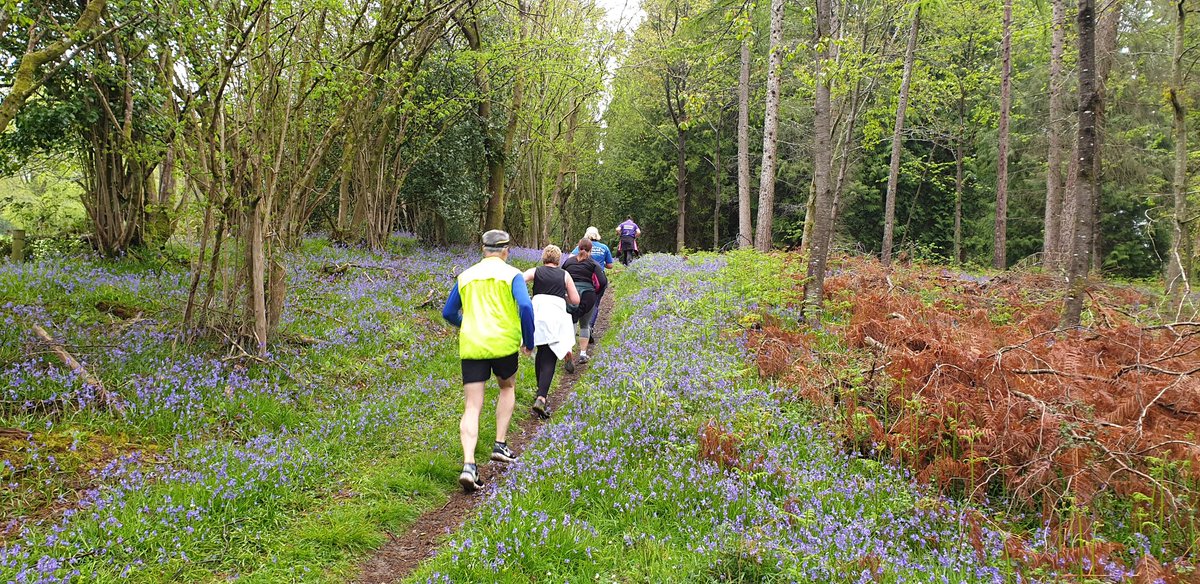 Verwood Runners tweet media