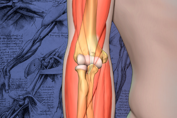 MayoMedEd's tweet photo. Orthopedic surgeons: tune in June 10-12 for a one-of-a-kind livestream CME course on advanced elbow surgery from Mayo Clinic. Featuring interactive surgical videos, interactive cadaveric dissection, &amp; live surgery &amp; discussion from the OR hallways. https://t.co/iSQKNInEqx https://t.co/RjGmPSBvTp