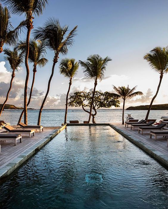 Sheree Ladove Funsch tweet media