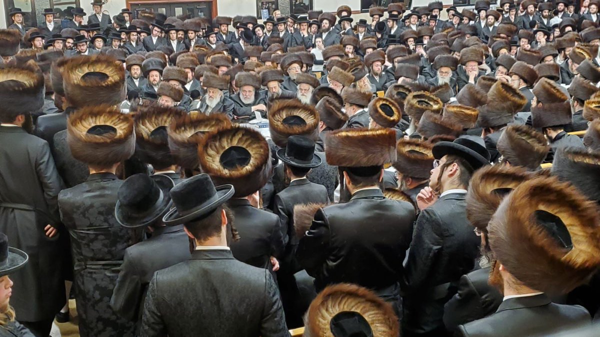 𝐒𝐚𝐭𝐦𝐚𝐫 𝐔𝐩𝐝𝐚𝐭𝐞𝐬 tweet media