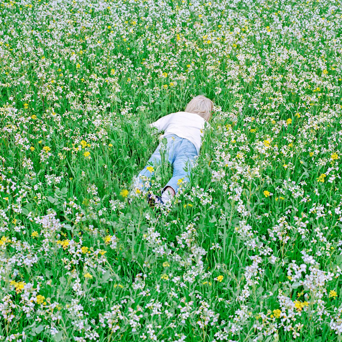 Bolide ☄️🦇 Rigger Mortis tweet media