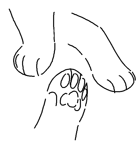 how do cat paws literally just look like this 