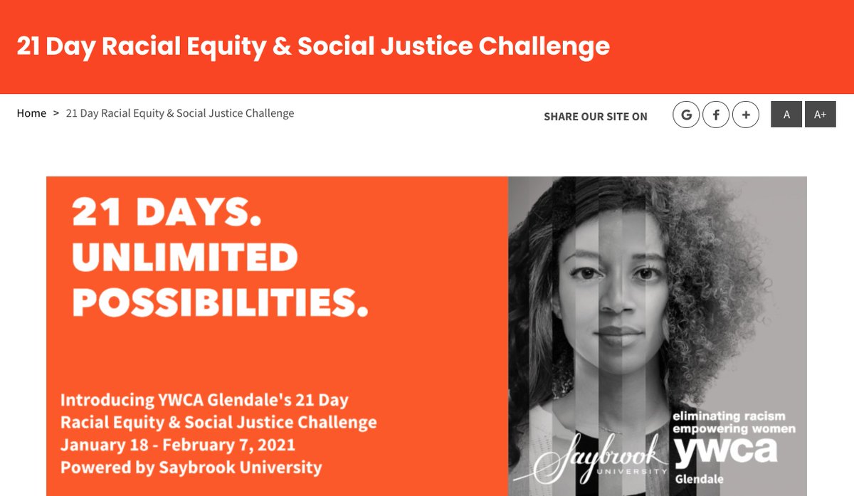 Disney sponsored the creation of a “21-Day Racial Equity and Social Justice Challenge” and recommended it to employees. The challenge begins with a lesson on “systemic racism” and tells participants they have “all been raised in a society that elevates white culture over others.”