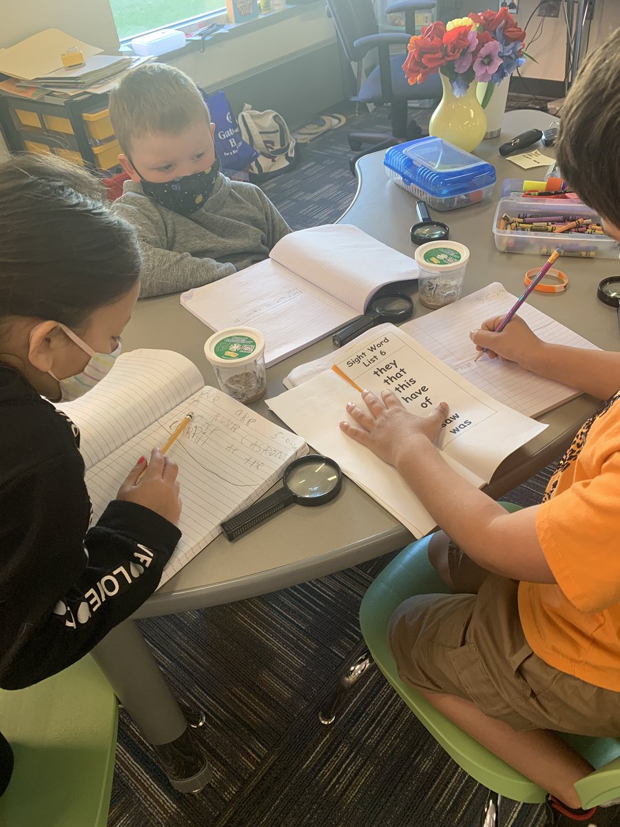 CGroutSGR's tweet photo. We have been busy this week learning about the lice cycle of a Butterfly- and there is no better way then watching it happen in our room! Loving our temporary class “pets” :) @sgrspuds https://t.co/KMWM3SLjH8