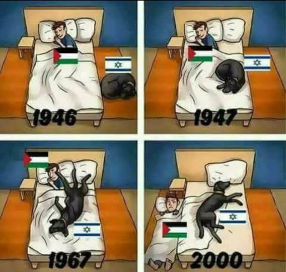 Aadil Ahtesham Ali ( #FreePalestine 🇵🇸 ) tweet media