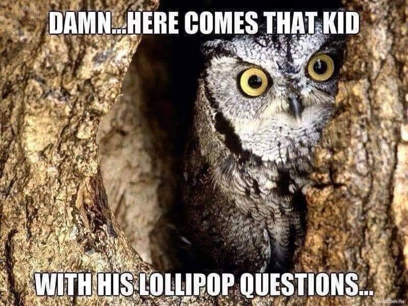 PeachyKeenBean7's tweet photo. #SaturdaySnickers #Owls #DoYouRemember 
#LOWL  🦉😆🦉 😆🦉 https://t.co/RxKkvdRSzY