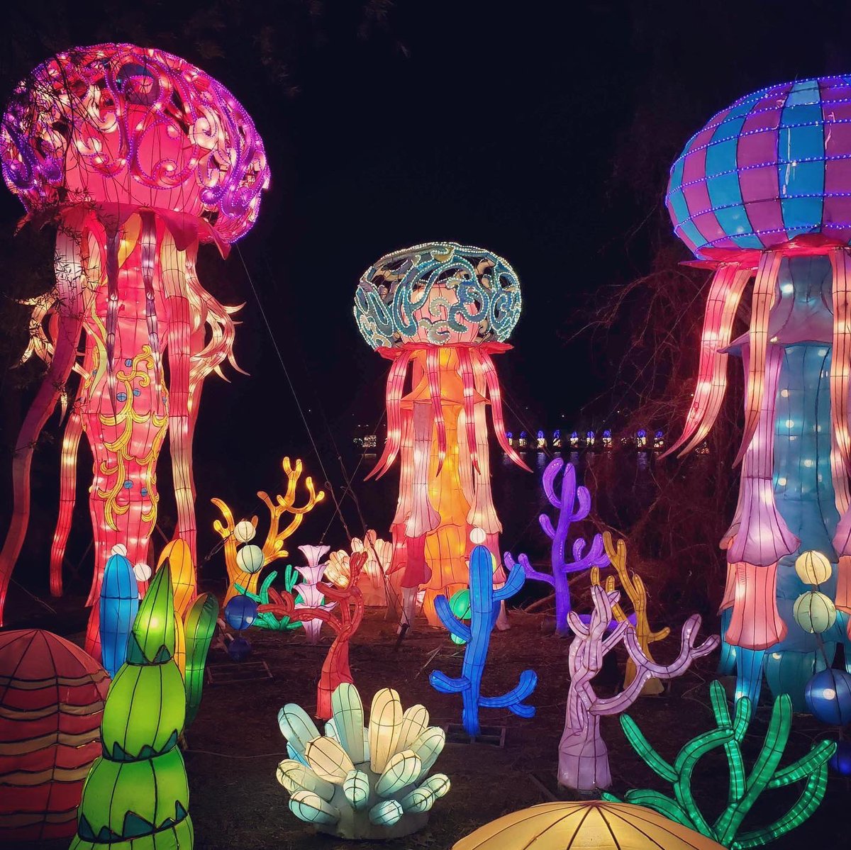 Much needed #IRL face time at @rwpzoo for the enchanting Asian Lantern Spectacular ✨

#asianlanternspectacular #rhodeisland #teambuilding