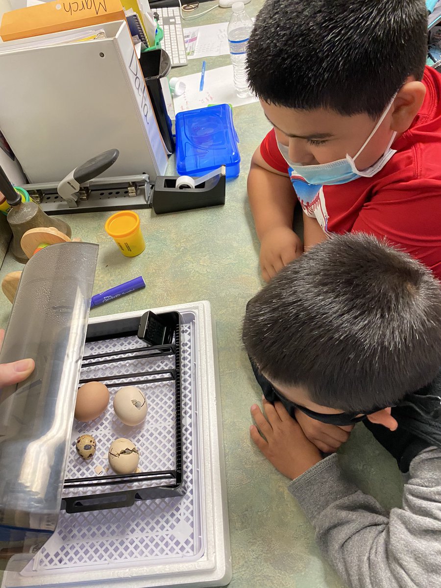 Kayla Michna tweet media