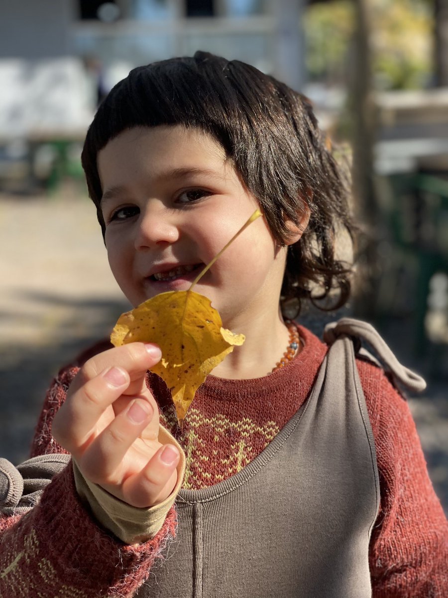 Amamos el otoño 🍂