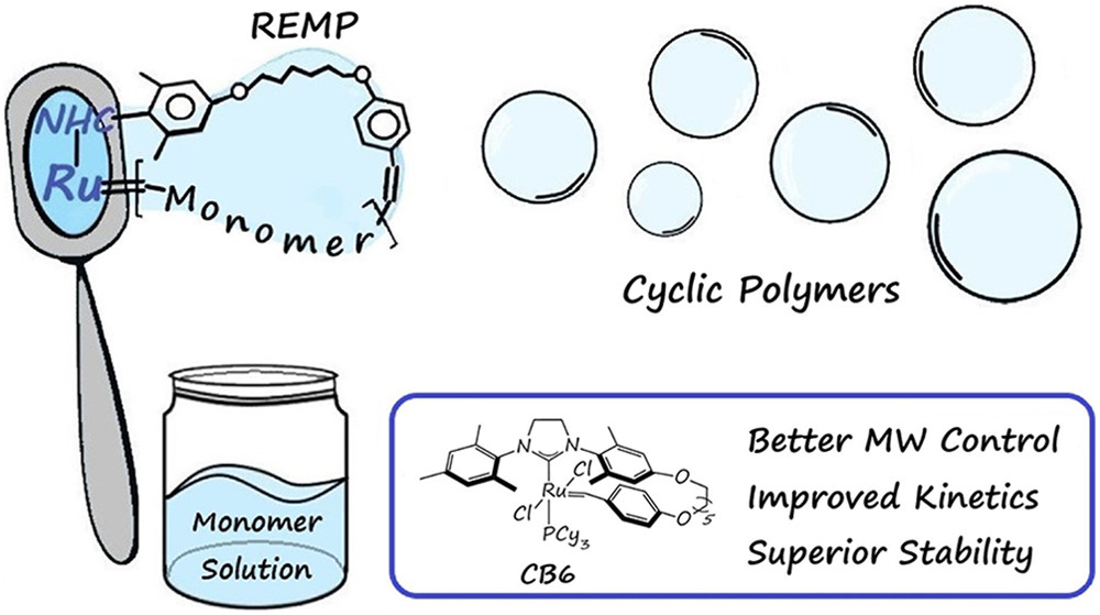 J. Am. Chem. Soc. (@j_a_c_s) on Twitter photo A new class of cyclic Ru initiators provide increased stability and molecular weight control in ring-expansion metathesis polymerization reactions of norbornene monomers. <a href="/golder_team/">TeamGolder</a> <a href="/AurMatthew/">Matt Golder</a> acspubs.co/wTg250EHG6k A new class of cyclic Ru initiators provide increased stability and molecular weight control in ring-expansion metathesis polymerization reactions of norbornene monomers. <a href="/golder_team/">TeamGolder</a> <a href="/AurMatthew/">Matt Golder</a> acspubs.co/wTg250EHG6k