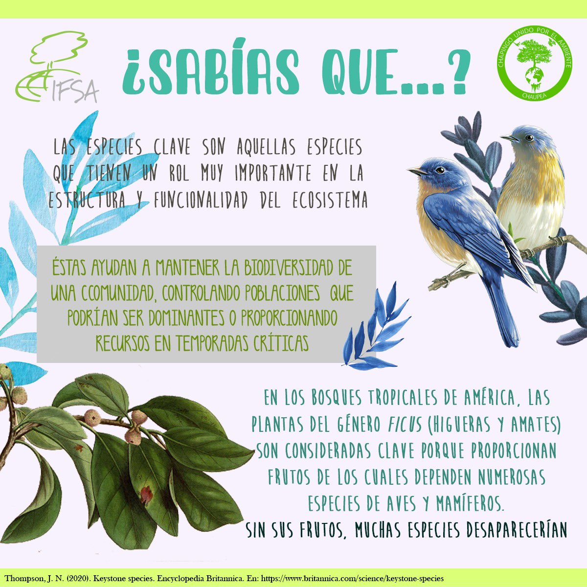 CHAUPEALC's tweet photo. ¿Sabías que...? https://t.co/Yzr2RKr6Rz