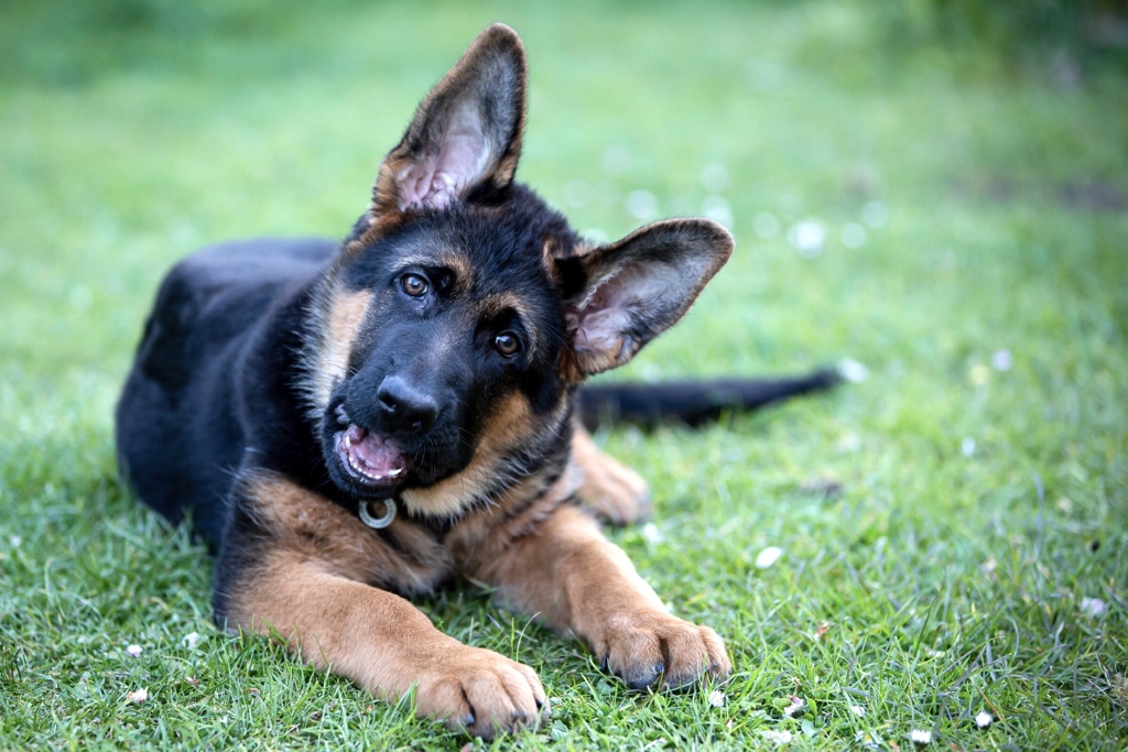 Six weeks and 10kg difference between these photos.