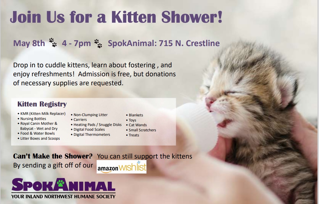 This Mother's Day weekend we have lots of baby kitties looking for Foster Mothers (or Fathers), so please join us tomorrow to learn more.  Or just come cuddle some cute babies!
