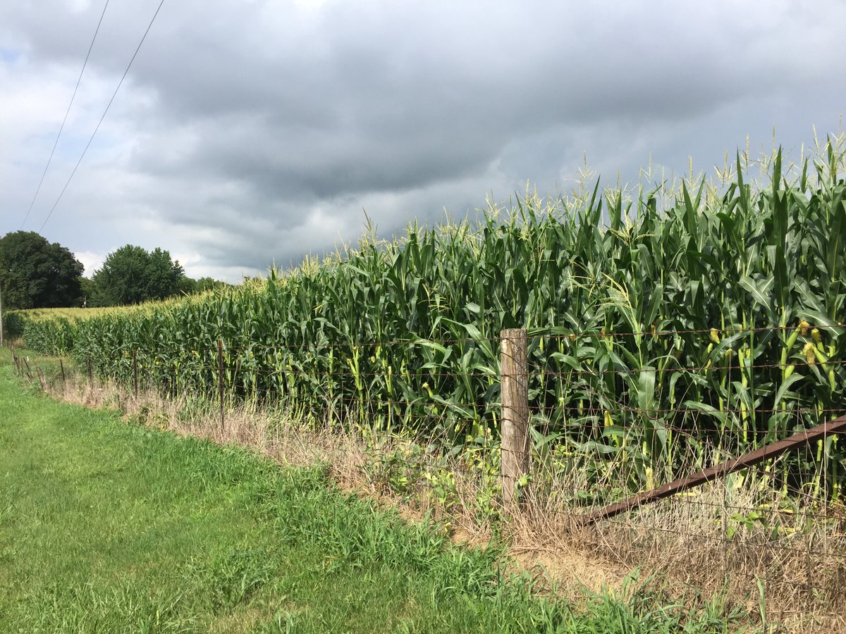 Pete Van Mullem tweet media