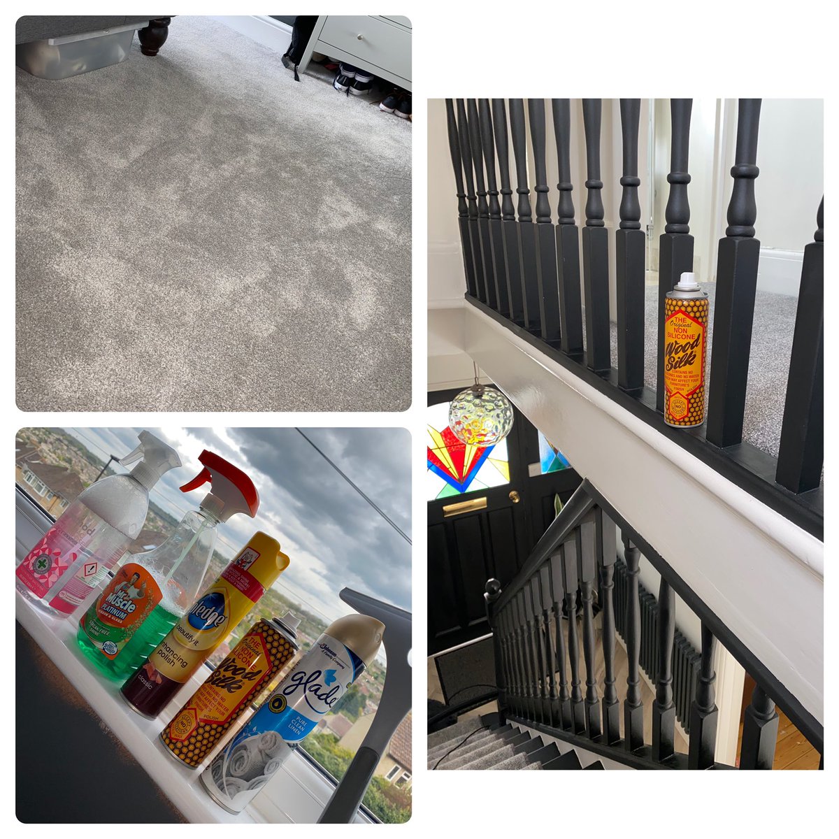 Burties helpers🐶🧼 (@burtie77999745) on Twitter photo 