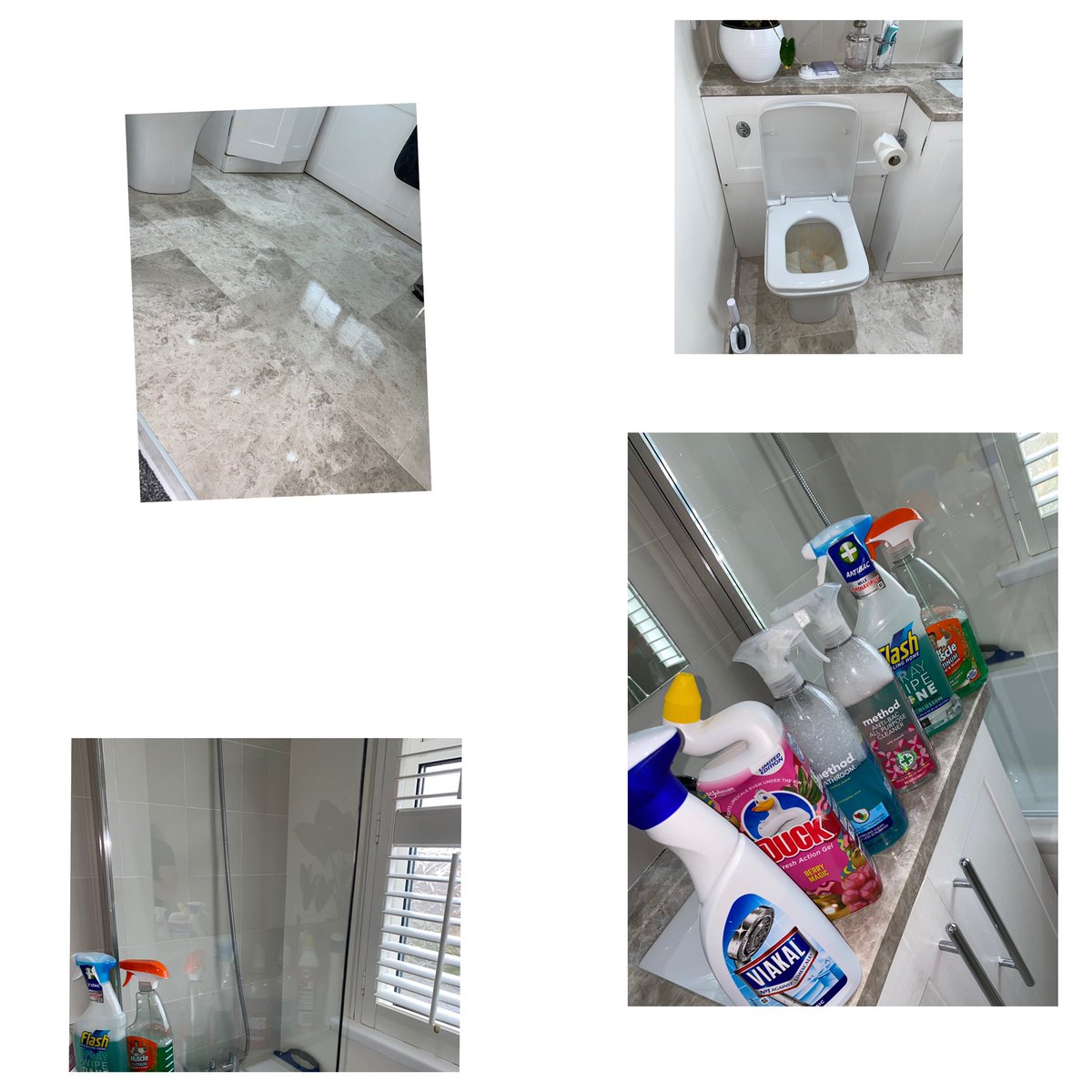 Burties helpers🐶🧼 (@burtie77999745) on Twitter photo 