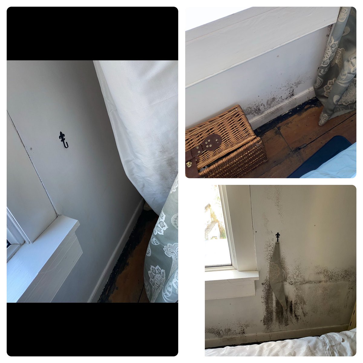With lockdown you might have had a property sat and it’s now over run with mould. We could be of some help to you and could take care of your problem. Get in contact burtieshelpers.co.uk