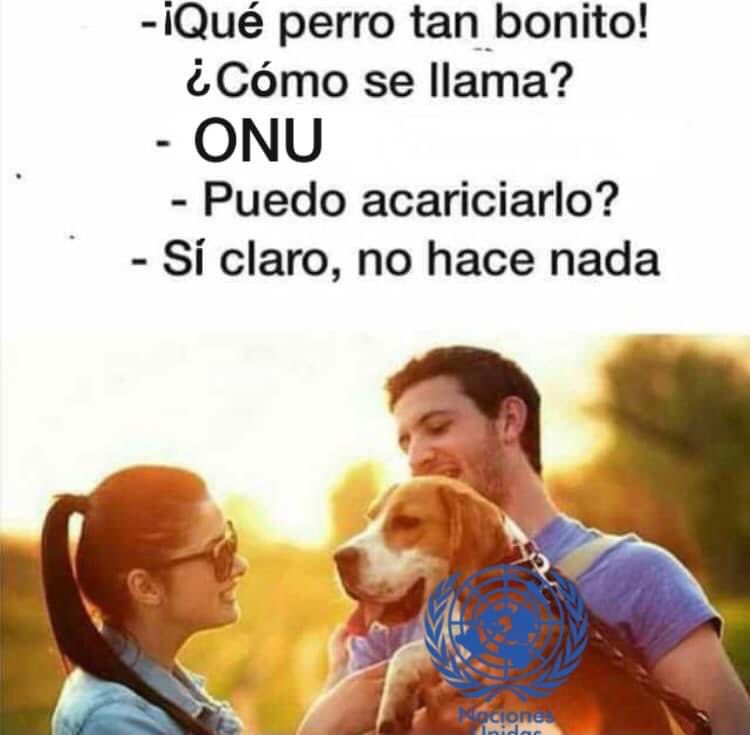ECHEVERRI_SARA's tweet photo. No sirven pa’ nah #ONUintervengaColombia #ONU #ParoNacional7M #NoCensurenAnonymous #ColombiaAlertaRoja #ColombiaEnDictadura #ColombiaSOS #Colombiaprotesta #ElParoNoLoParaNadie #DuquePareLaMasacre #ParoNacionalIndefinido #ResisteColombia #SOSMedellin #Resistencia https://t.co/p75pdlZ5B7