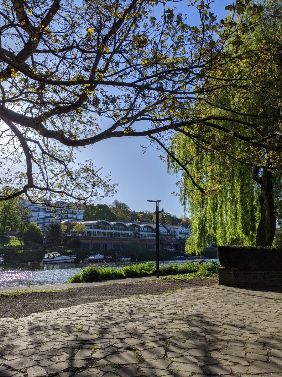 patch37's tweet image. Lovely morning in East Twickers!