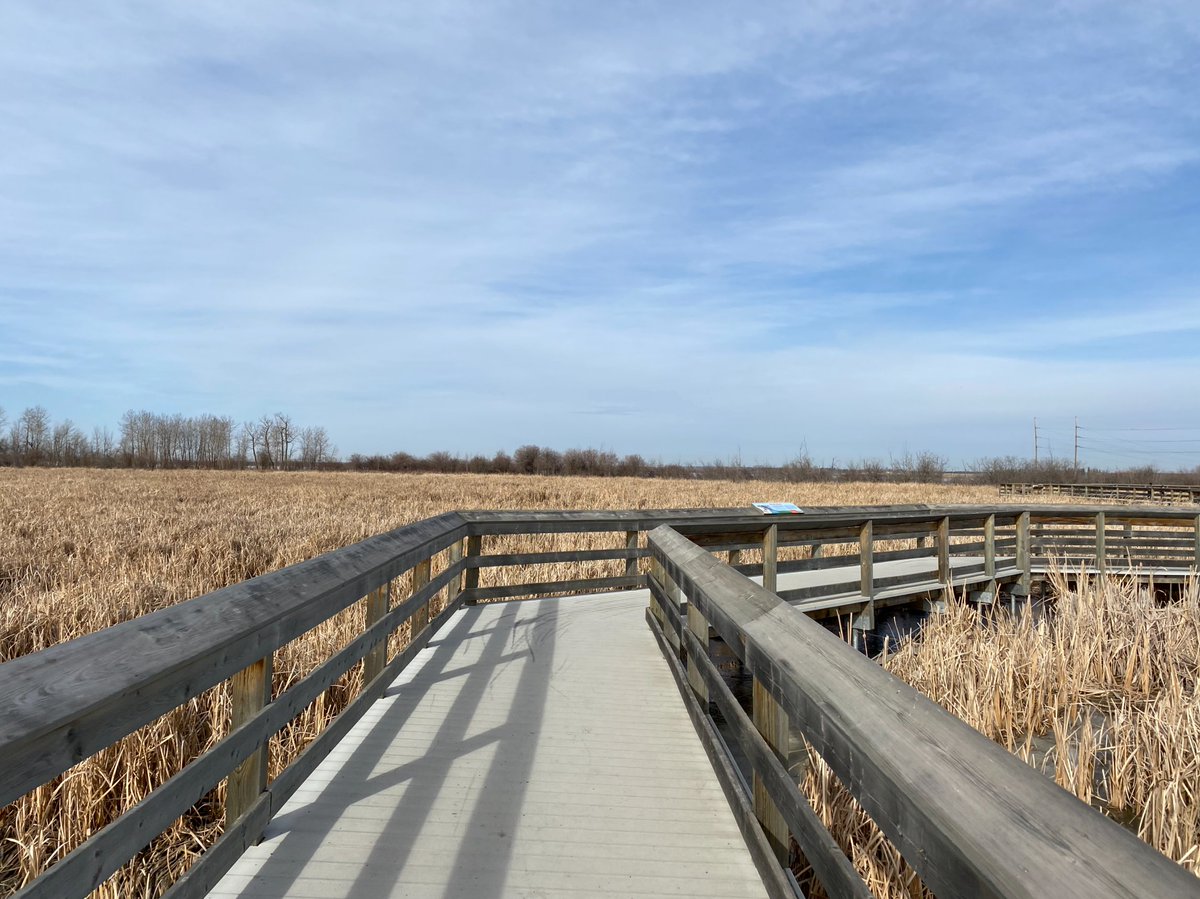 Albertaparks's tweet image. 1/2 To support all visitors in connecting with nature, we have partnered with @CNIB (the Canadian National Institute for the Blind) to implement #BlindSquare at Lois Hole Provincial Park to bring an inclusive trail experience for everyone.