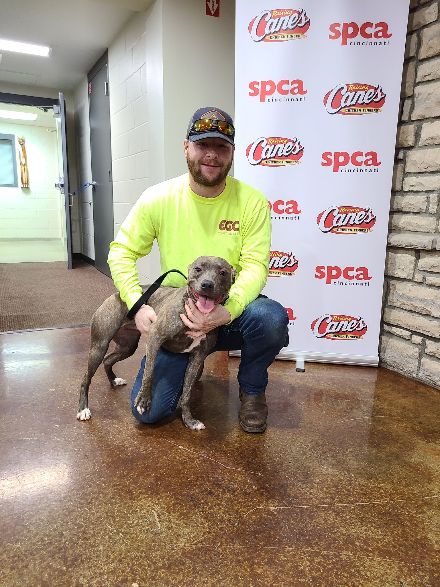 Spca northgate cheap