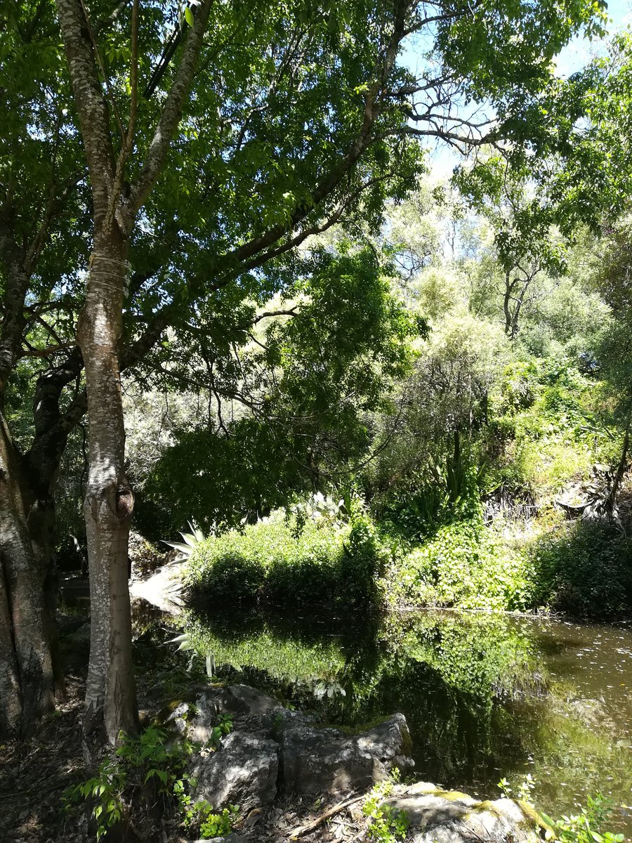 BioBlitz_Tapada's tweet photo. Os nossos monitores estão no terreno para preparar as actividades do BioBlitz da Tapada.
🎼🦇🐦🎤
Alguém adivinha o que estamos a fazer?
🎼🦇🐦🎤

📌 Façam já a vossa inscrição https://t.co/eXjDdXlg5w https://t.co/XmvWdKLcCv