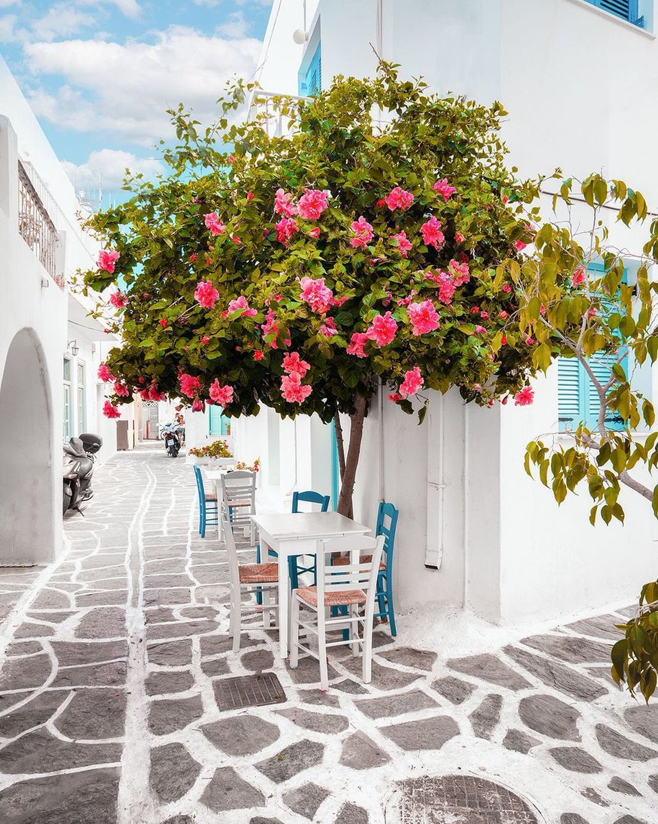 europe_ah's tweet photo. 📍Mykonos town
📍Paroikia
📍Grace Mykonos
📍Mykonos https://t.co/lORfoZ3jtC