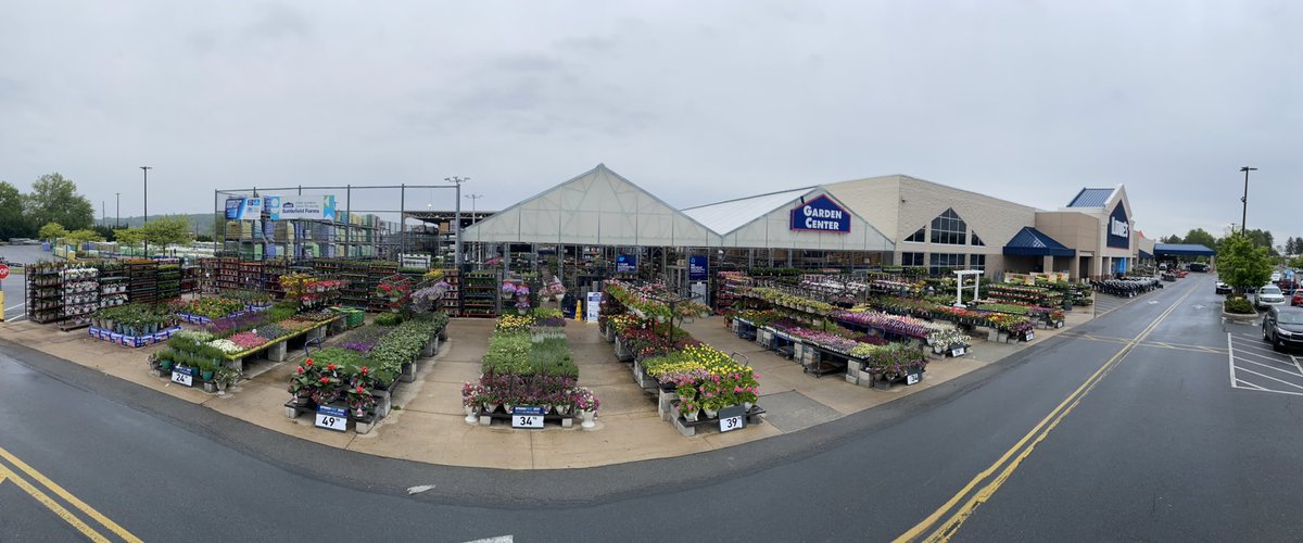 Jill Guth tweet media