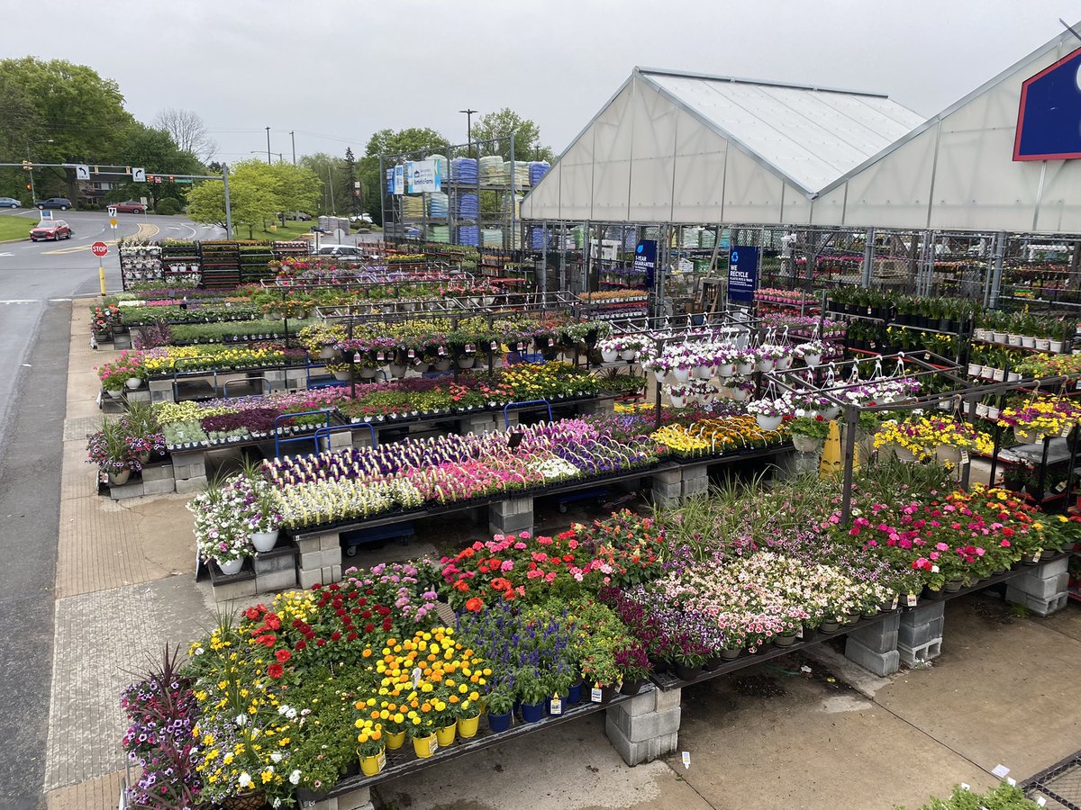 Jill Guth tweet media