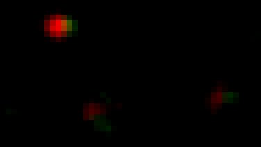 So happy to see these red and green spots sitting together #fluorescencefriday